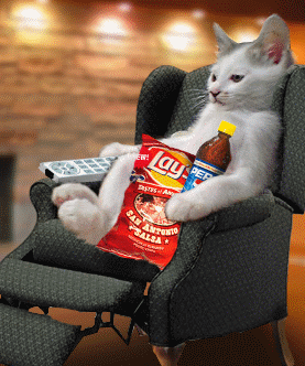 Un Minou..!=D