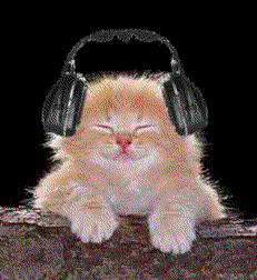 Encore Un Minou..!